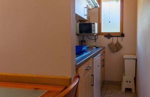 Landry House | BLUE THISTLE - ROCK THISTLE