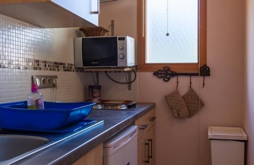 Landry House | BLUE THISTLE - ROCK THISTLE