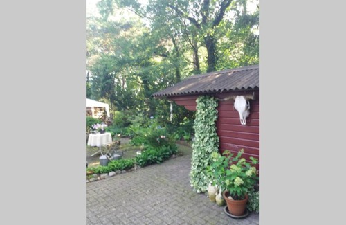 Zuidwolde House | Boshuisje nabij het Reestdal