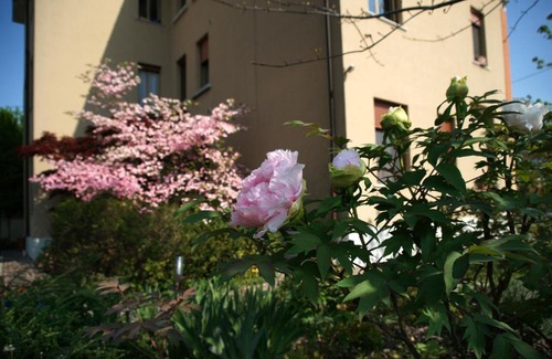 Udine Apartment | Boutique Apartment Casa Angela