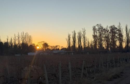 Lujan de Cuyo Hotel | Boutique Hotel Bodega CICLO ANDINO