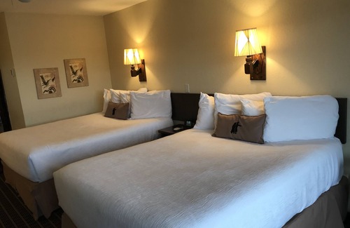 Bozeman Hotel | Bozeman Lewis & Clark Motel
