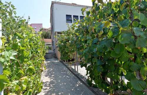 Zadar Apartment | Bozena