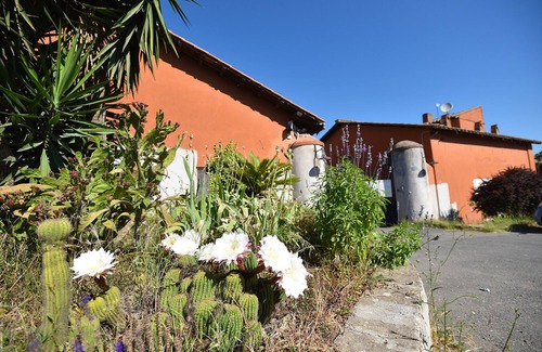 Lake Bracciano Apartment | Bracciano Lake Farmhouse - Apt. Blue