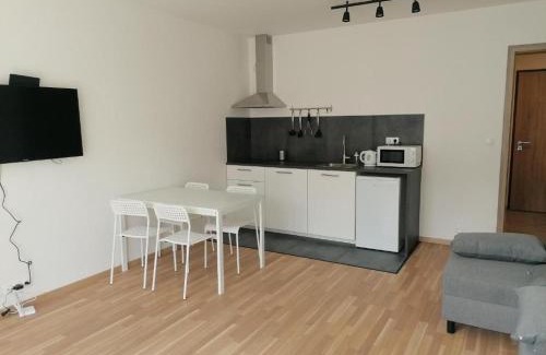 Palmovka Apartment | Brand new studio apartment #71 with free secure parking in the center