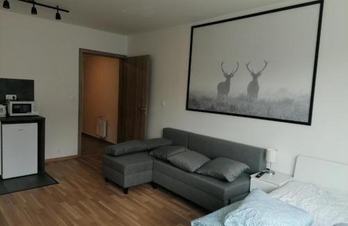 Palmovka Apartment | Brand new studio apartment #71 with free secure parking in the center