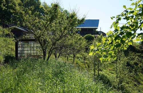 Burnsville Cabin | Brandy Gap Earthship