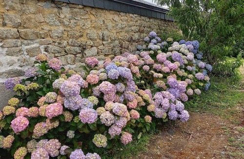 Plogastel-Saint-Germain House | Breton house in Pays Bigouden between sea and countryside, South Finistère