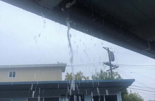 Belmont Apartment | Bright and Sunny 1-BR conveniently located to major medical centers in Belmont