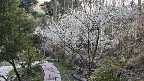 Dongshi District House | Bright Moon Homestay