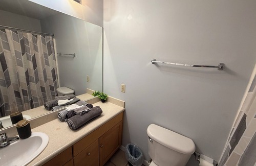 Downtown Cleveland Apartment | Bright Urban Retreat-Steps to CSU & Theater District, minutes to progressive.