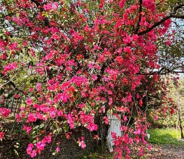 Yuanshan House | Brookburg