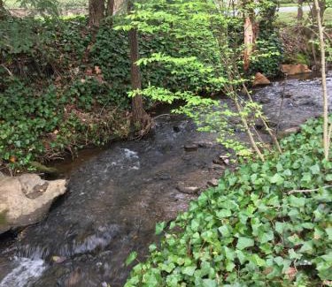 Waynesville House | Brookside Cottages