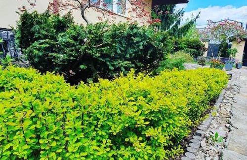 Praga Poludnie Bed & Breakfast | BTHouse, Pokoje Gościnne