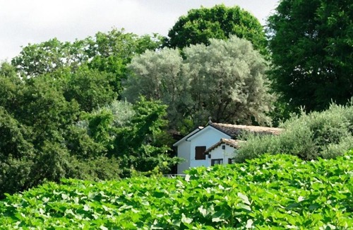 Bettolelle House | Bubo