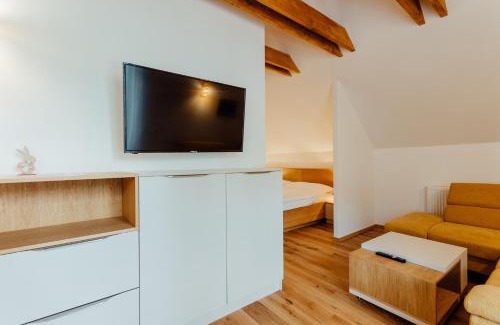 Pavcina Lehota Apartment | BudinSKI Apartmány & Wellness