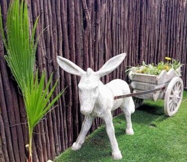 Greater Johannesburg Metropolitan Area Apartment | Buenos Manor