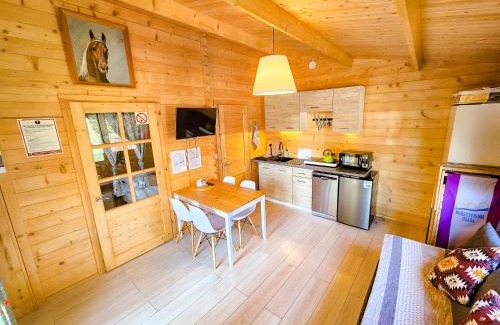 Kopalino Cabin | Bursztynowa Osada