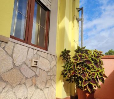 Monserrato House | ButterflyHouse