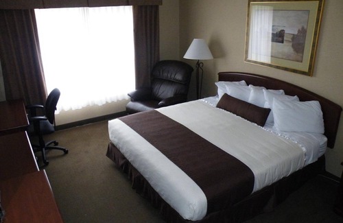 Thief River Falls Hotel | C'mon Inn Thief River Falls