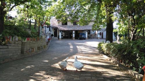 Bettolelle Apartment | CA CIVETTA