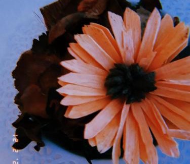 Terre di Pedemonte House | Ca da la nona