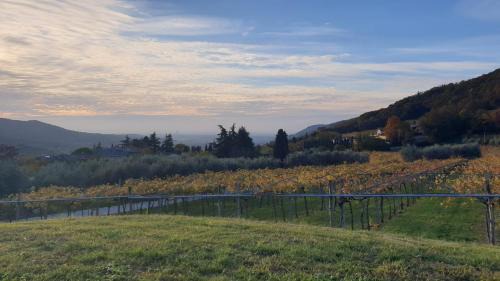 Grezzana Apartment | Ca' del Volo