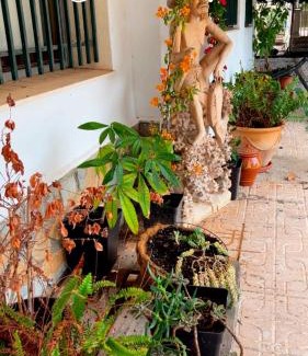 Algoda House | Ca Didi