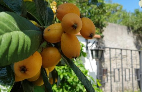 La Spezia Apartment | Ca' do Dria