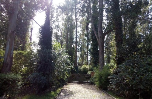 Las Colinas de Peralta Ramos House | Cabaña Hermoso Sol de Abrilita