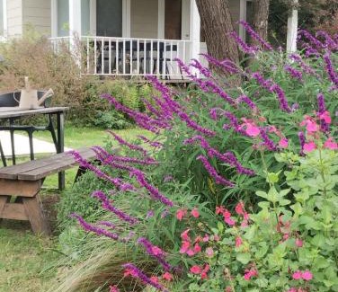 Villa Giardino Ski Chalet | Cabañas Naturaleza