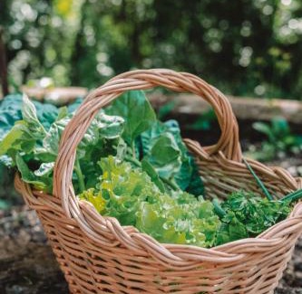 Gramado Ski Chalet | Cabana Rústica em Gramado