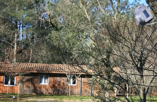 Labouheyre Cottage | Cabane en Pleine Nature - Domaine Temali