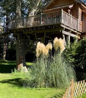 Maisse Other | Cabane perchée luxe avec jacuzzi Domaine du Marais Maisse