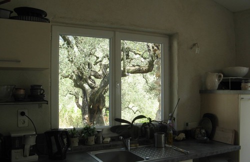 Nyons House | Cabanon in the olive trees in Nyons.