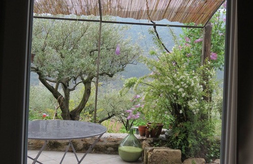 Nyons House | Cabanon in the olive trees in Nyons.