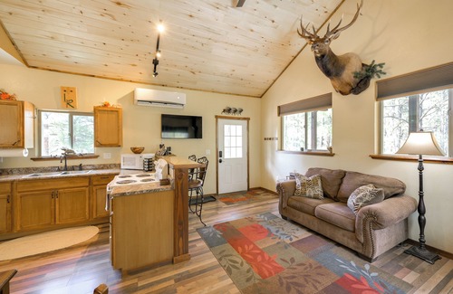 Bayfield Cottage | 'cabin at the Little Ranch': Hiking On-site!