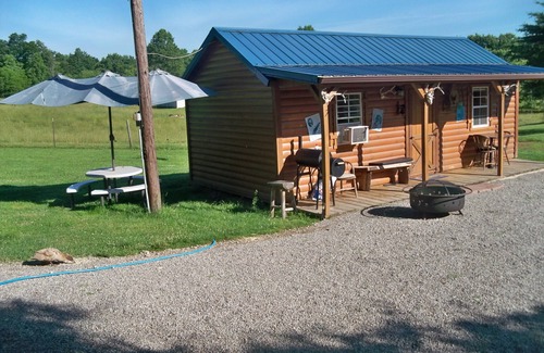 Zaleski Cabin | Cabin Borders Zaleski State Forest 40 Private Acres with Stocked Pond