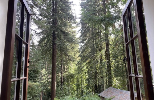 Monte Rio Cabin | Cabin Forest Retreat