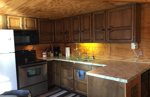 Cadillac Cabin | Cabin Hidden/Surrounded By Hundreds Of 30'+ Blue Spruce Pines !