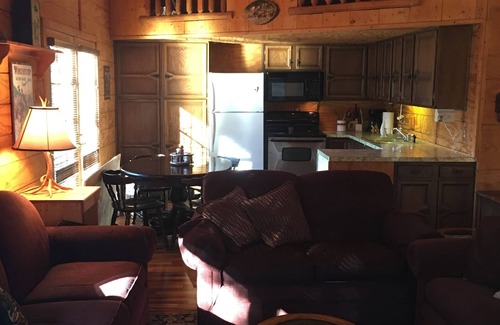 Cadillac Cabin | Cabin Hidden/Surrounded By Hundreds Of 30'+ Blue Spruce Pines !