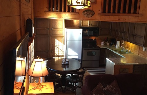 Cadillac Cabin | Cabin Hidden/Surrounded By Hundreds Of 30'+ Blue Spruce Pines !