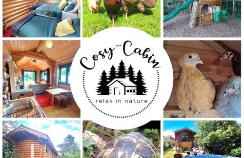 Charing House | CABIN in hosts huge garden CHILD FRIENDLY with Hens Cats firepit Marshmallows Pool