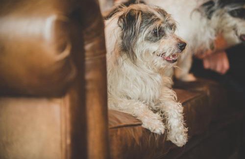 Conwy Hotel | Caer Rhun Hall Hotel