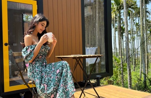 Gukeng Cabin | California Good Day Campground 3 by Tiny Away (加州好日子露營區3)