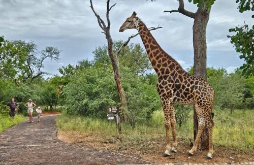 Hoedspruit Cabin | Call of the Wild Lodge