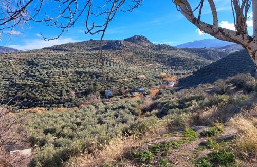 Jaen Apartment | Calle lerida Apartamento céntrico