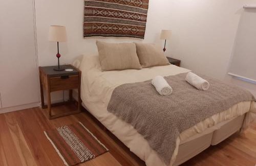 Lanin National Park Apartment | Calma Sur Urbano