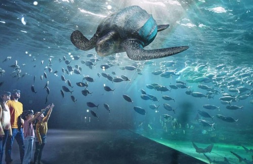 Neufchatel-Hardelot House | Calme et détente dans une maison proche de la mer