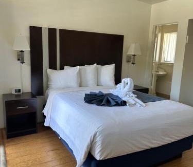 Cambria Hotel | Cambria Palms Motel